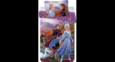 Disney Frozen BABY Dekbedovertrek Wind - 100 x 135 / 40 x 60 cm - Katoen