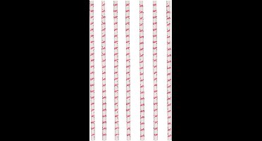 RIETHMULLER - 12 Flamingo Paradise Kartonnen Rietjes 19,5 cm Flamingo's