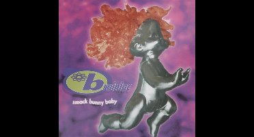 Brainiac - Smack Bunny Baby (LP)