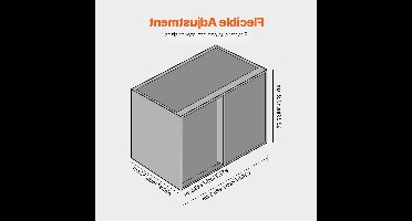 Keukenkast Organizer – Gootsteenkast Organizer – Kastlade – Keukenrek – Hoeklade – 2-laags Uittrekbaar – Zachte Sluiting – Metaal & Chroom