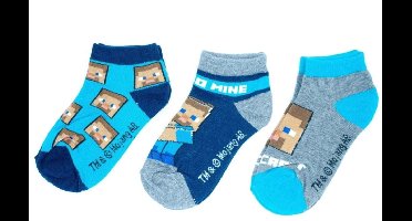 Sokken Minecraft Maat 35/38