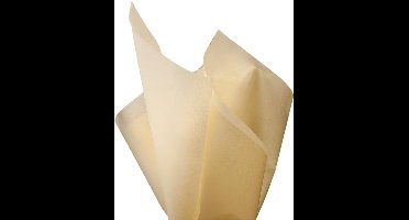 Dik Ivoor Vloeipapier – 28 grams,36x50 cm 240 vel