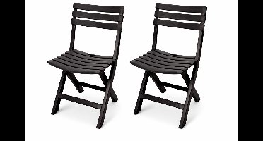 HEM Inklapbare Tuinstoelen Set van 2 Antraciet – Opvouwbare Kunststof Tuinstoel – Balkon Stoel – Camping Stoel – Terras Stoelen – 120 kg Belastbaar