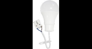 LEDmaxx LED verhuislamp 10W 1100lm 4000K met steekklem | Geen fitting | Koel Wit | 10 watt | 30.000 Branduren