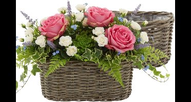 Van der Leeden Plantenmand Klassiek - 2x - bruin - rechthoek - 50 x 20 x 20 cm - rotan - gevlochten riet - mand - opbergen