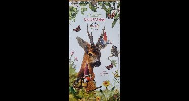 Kalender 2026 De Kabouter Rien Poortvliet - Maandkalender met leuke afbeeldingen van kabouters - sprookjes