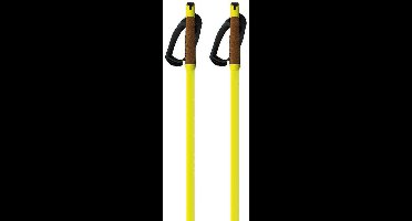 Fischer Storm Gtx L Stokken Goud 170 cm