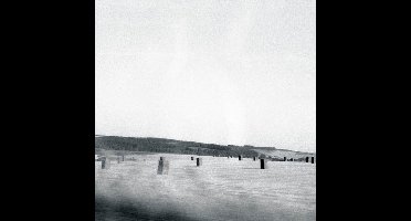 Drone - Feral (CD)