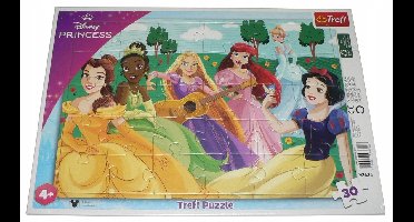 Trefl Disney Prinsessenpuzzel met Frame - 30 Stukjes