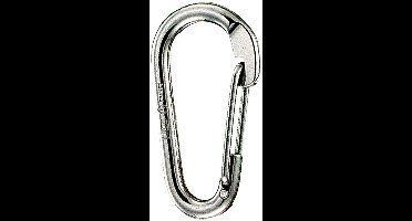 Wichard Oogloze Asymmetrische Karabijnhaak 10 Mm Zilver 1200-2500 Kg
