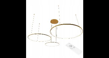 Ring LED Plafondlamp Goud 40/60/80cm 116W Dimbaar 3000-6500K