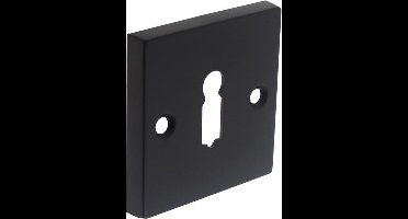 Intersteel Rozet sleutelgat vierkant groot mat zwart