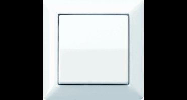 Jung AS500 Schakelelement/Centrale Plaat - AS590WW - E32PZ