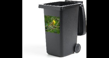 Container sticker Geelgors - Tak - Boom - 40x40 cm - Kliko sticker