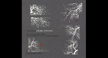 Hans Peter Blochwitz, Ensemble Modern, Hans Zender - Schuberts Winterreise (2 CD)