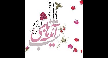 Mohsen, Amir Abbas Setayeshgar & Hesam Keramati - The Night Of Mirrors Of The Light (CD)
