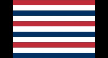 Vlaggenclub.nl Admiraalsvlag Oud Hollands - 100x150cm - Voor boot en gevel