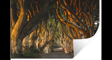 Muurstickers - Sticker Folie - Tunnel van bomen in Ierland - 30x20 cm - Plakfolie - Muurstickers Kinderkamer - Zelfklevend Behang - Zelfklevend behangpapier - Stickerfolie