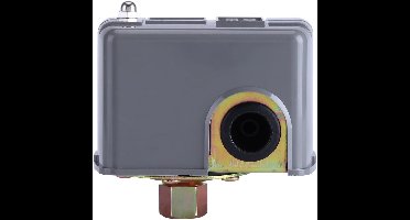 110-230V 40-60PSI waterpomp drukregelaar - Verstelbare dubbele veerpaal zelf-aanzuigende injectie tuinwaterpomp thuiscontroller Gereedschap, Standaard, fonteinen