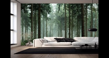 Vliesbehang Fotobehang - Enchanted Forest Serenity Wallpaper - 250x200 centimeter