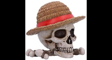 One Piece - Luffy jolly roger - opbergdoos (Nemesis Now)