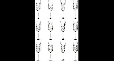 Pasabahce Champagneflûte Timeless 17,5 cl - Transparant 12 stuk(s)