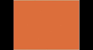 Fotokarton Folia lichtbruin - A4 300gr pak 50 vel