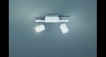 Spot Reality Roubaix - Wit