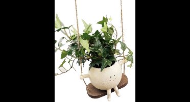 Schattige bloempot met smileygezicht, schommelbloempot, unieke decoratie, creatief