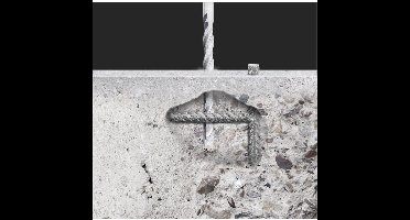 kwb 261012 40CR-staal Hamerboor 12 mm Gezamenlijke lengte 160 mm SDS-Plus 1 stuk(s)