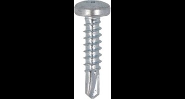 Proftec zelfb. Plaatschroef 4.8x19mm Verz. TX25 CK (200)