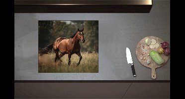 Inductieplaat Beschermer - Bruin Paard met Witte Bles Lopend door Weiland met Hoog Gras - 58x51 cm - 2 mm Dik - Inductie Beschermer - Bescherming Inductiekookplaat - Kookplaat Beschermer van Wit Vinyl