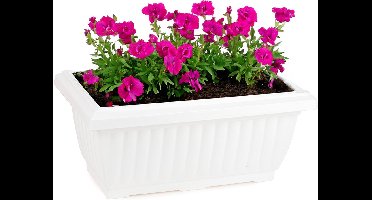 Plasticforte Plantenpot/bloempot Windsor - buiten - kunststof - wit - L33 x B18 x H15 cm - plantenbak - balkon/terras/tuin