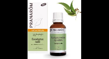 Eucalyptus Radiata etherische olie - Bio