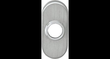 Intersteel ovale rozetten - verdekt 10mm - RVS - 0035.341704