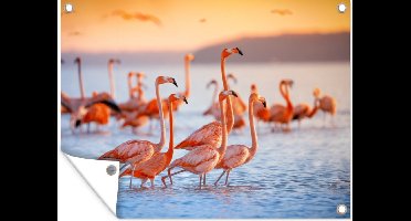Muurdecoratie buiten Flamingo - Dieren - Water - Roze - 160x120 cm - Tuindoek - Buitenposter