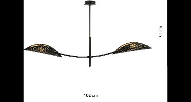 Ledl LOTUS 2 Hanglamp Zwart / Goud