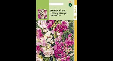 Hortitops Zaden - Lathyrus Latifolius Gemengd