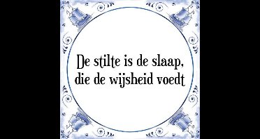 Tegeltje met Spreuk (Tegeltjeswijsheid): De stilte is de slaap, die de wijsheid voedt + Kado verpakking & Plakhanger