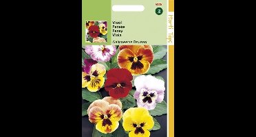2 stuks Hortitops Viola Tric. Max. Aalsmeerse Reuzen K.S.