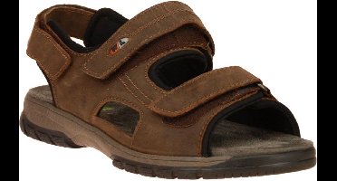 Waldläufer Harald Sandaal Bruin