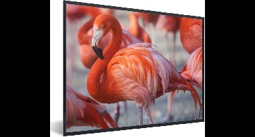 PosterMonkey - Poster - Flamingo - Vogel - Dieren - Roze - Fotolijst - 40x30 cm - Poster flamingo - Posterlijst - Frame poster - Poster dieren - Woonkamer