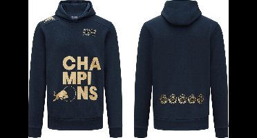 Red Bull Racing Oracle Constructors World Champion Hoodie - maat L - Max Verstappen - Trui - Wereldkampioen - Formule 1