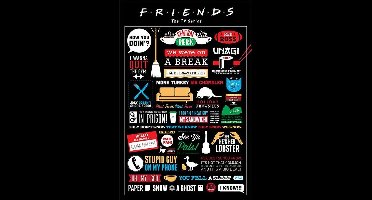 Friends Infographic - Maxi Poster