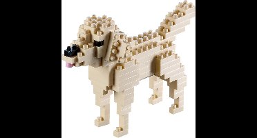 BRIXIES Golden Retriever