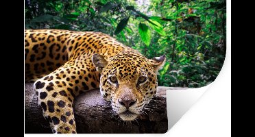 Muurstickers - Sticker Folie - Jaguar rust uit - 30x20 cm - Plakfolie - Muurstickers Kinderkamer - Zelfklevend Behang - Zelfklevend behangpapier - Stickerfolie