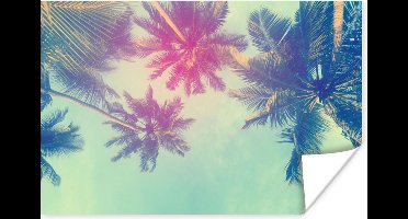 Poster Palmbomen - Palmbladeren - Palm - Zomer - Tropisch - 30x20 cm