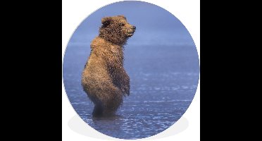 WallCircle - Wandcirkel ⌀ 120 - Beer - Strand - Zee - Ronde schilderijen woonkamer - Wandbord rond - Muurdecoratie cirkel - Kamer decoratie binnen - Wanddecoratie muurcirkel - Woonaccessoires XXL