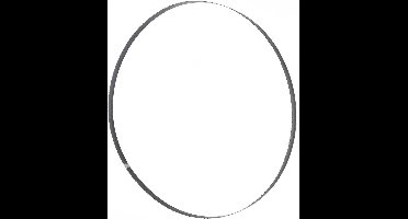 Bandzaagblad 1826 x 12 x 0,4 mm T 6 mm Holzmann Maschinen BSB245HQB12