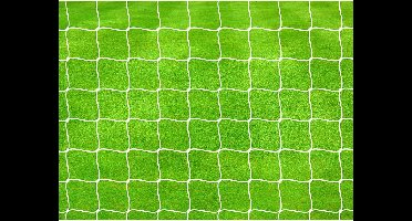 Precision Pro Football Goal Nets 4mm Braided (Pair)
